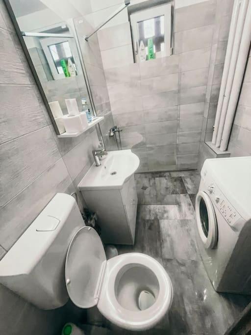 Ultracentral Big Flat Near The Opera Square P17 Timișoara Zewnętrze zdjęcie
