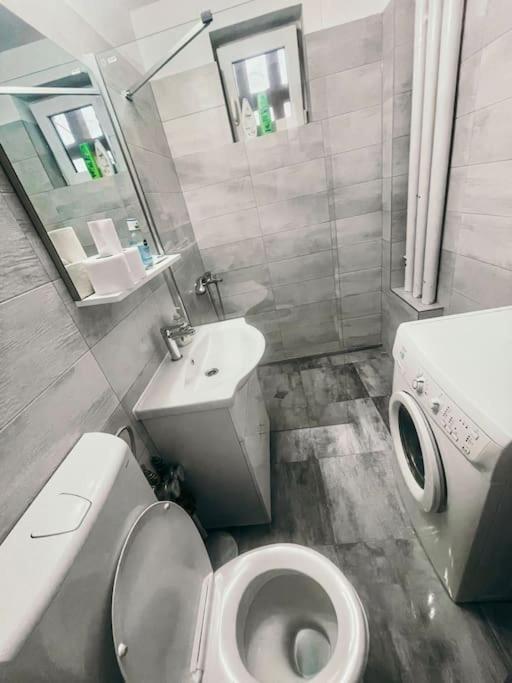 Ultracentral Big Flat Near The Opera Square P17 Timișoara Zewnętrze zdjęcie