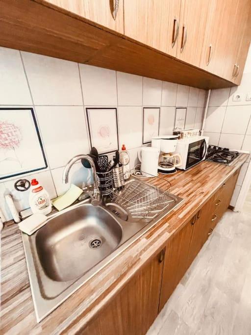 Ultracentral Big Flat Near The Opera Square P17 Timișoara Zewnętrze zdjęcie