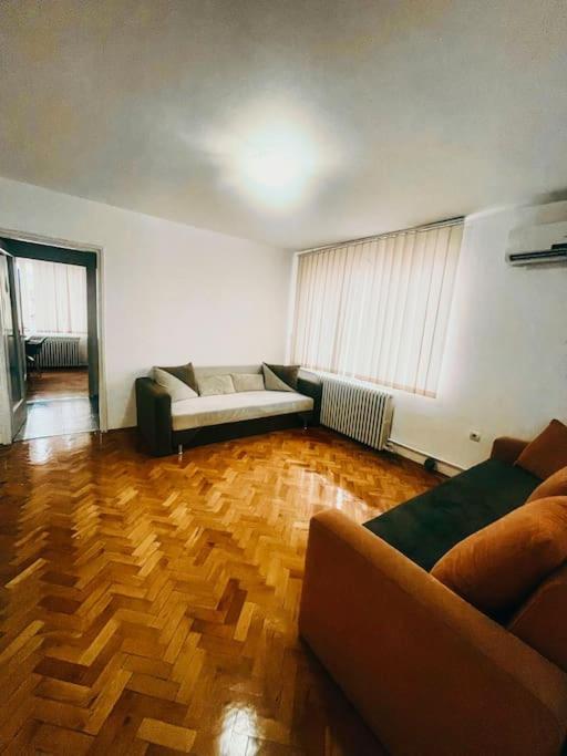 Ultracentral Big Flat Near The Opera Square P17 Timișoara Zewnętrze zdjęcie